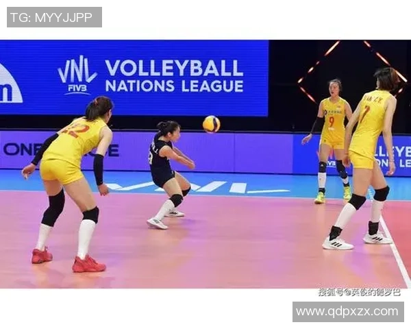 杭州排球队节奏对比深度剖析与战术解析